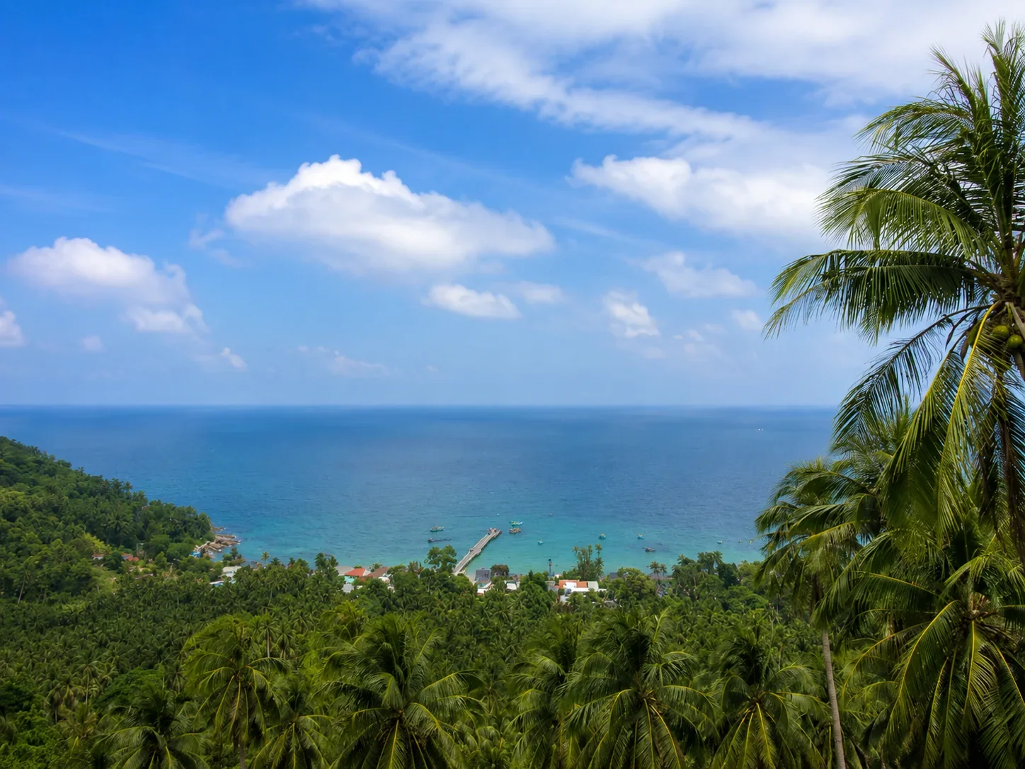 Palm-framed coast in Con Dao