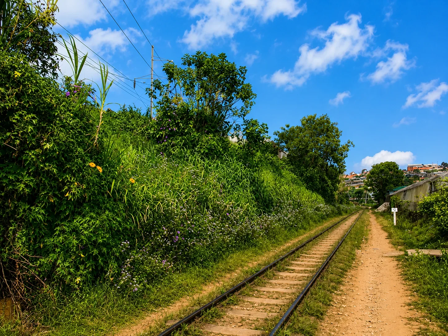 Historic railway landscape in Da Lat