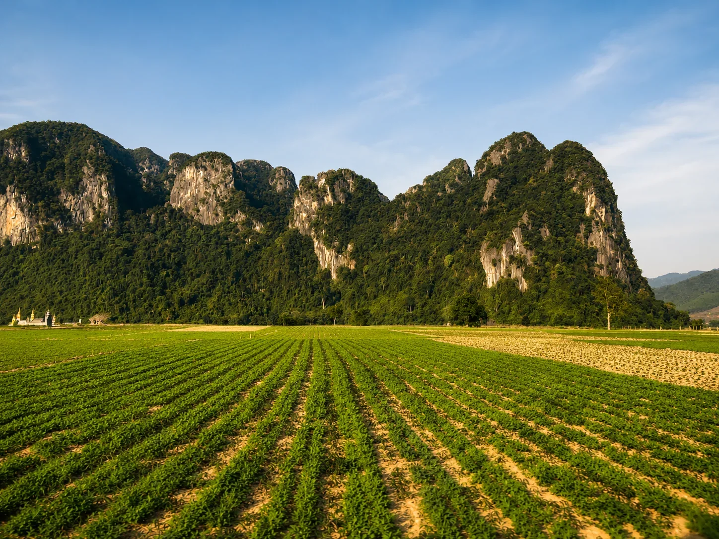 Karst farmland in northern Vietnam