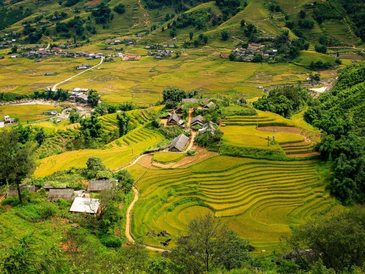 5-Day Sapa: Mountain Landscapes and Living Traditions