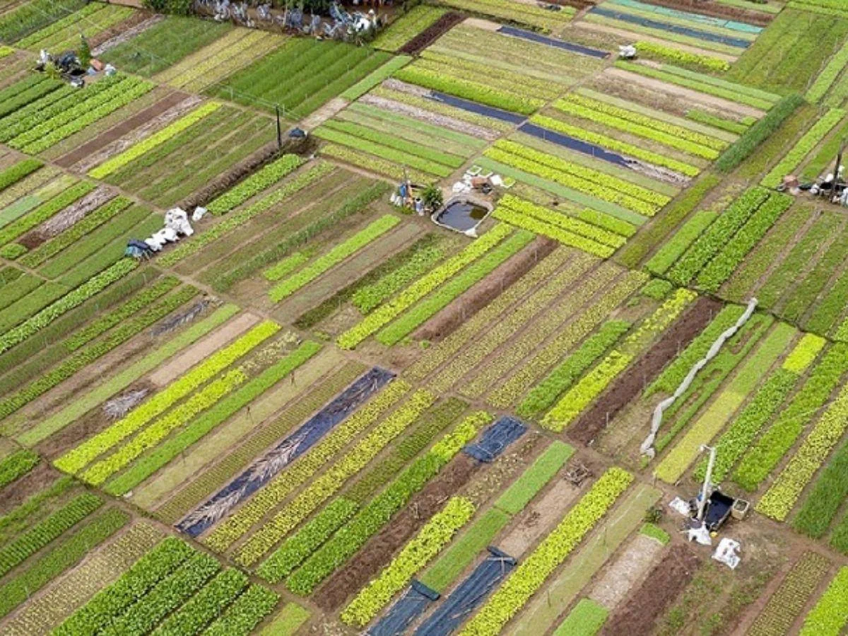 Rural life and farmland in Vietnam