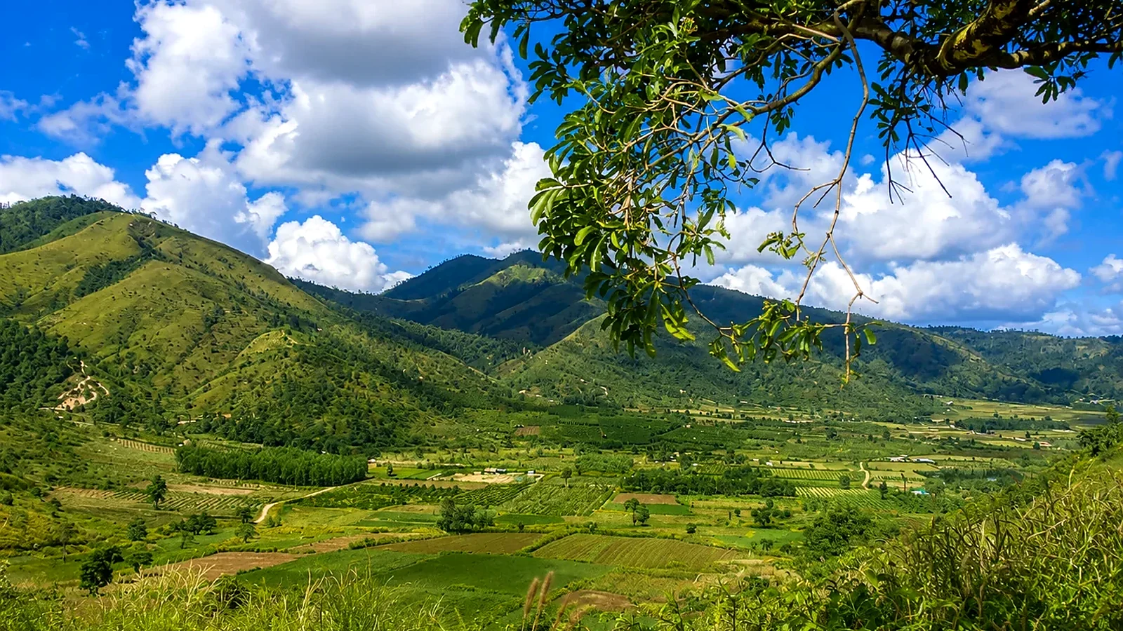 6-Day Da Lat and Buon Ma Thuot: Coffee Highlands