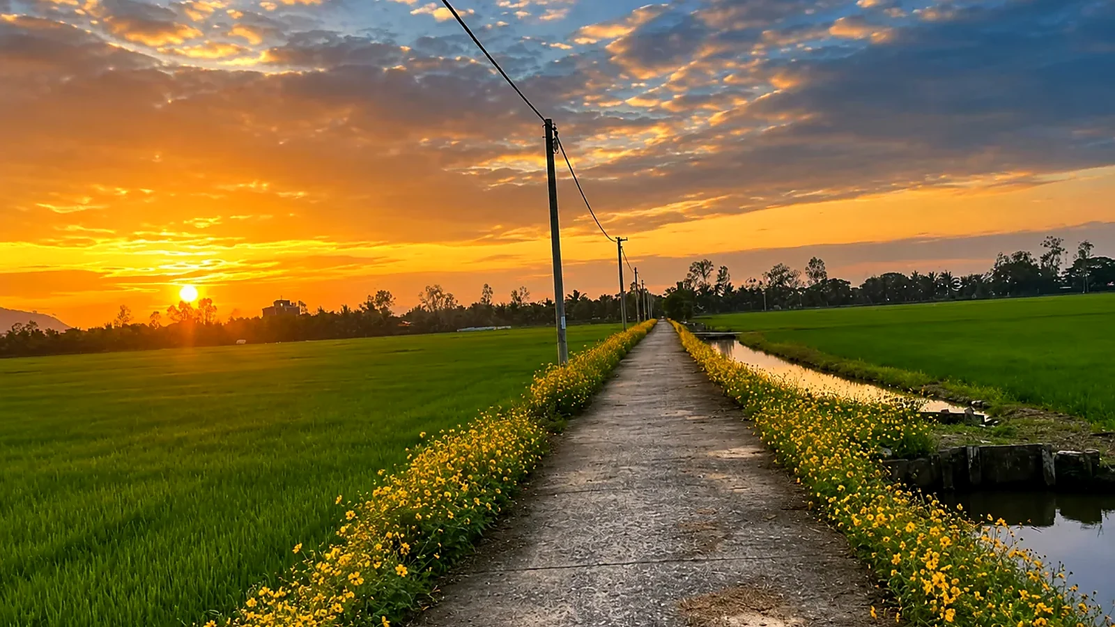 6-Day Mekong Delta: Water and Ways of Life